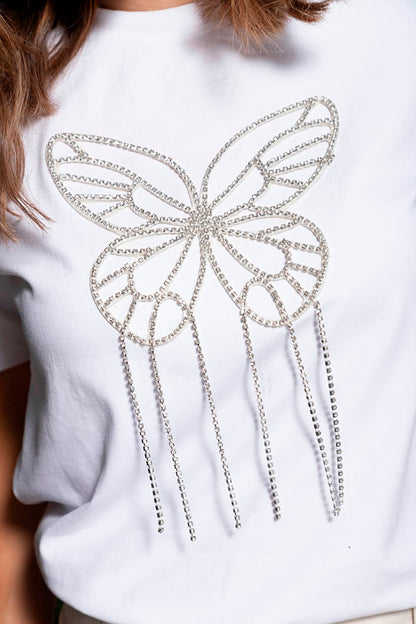 ARGENTEUS  BUTTERFLY