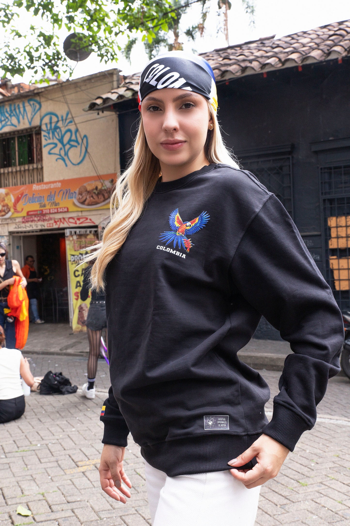 BUZO NEGRO CON GUACAMAYA (punto cruz)
