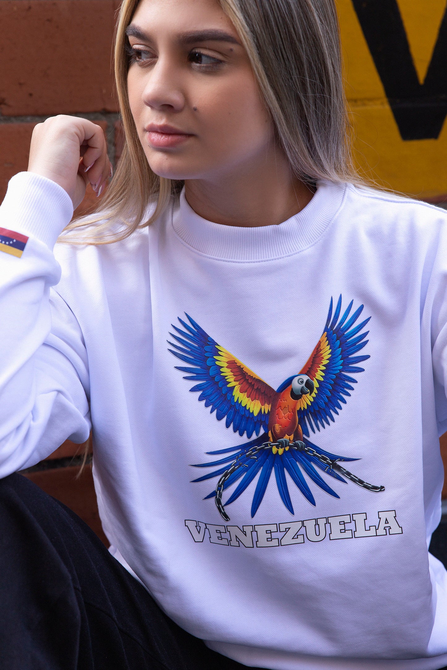 BUZO GUACAMAYA