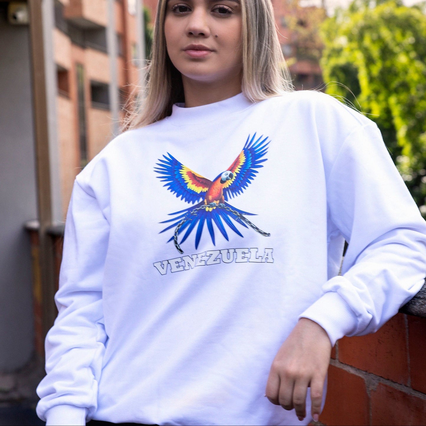 BUZO GUACAMAYA